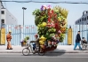 chinese-hauling-bikes-4